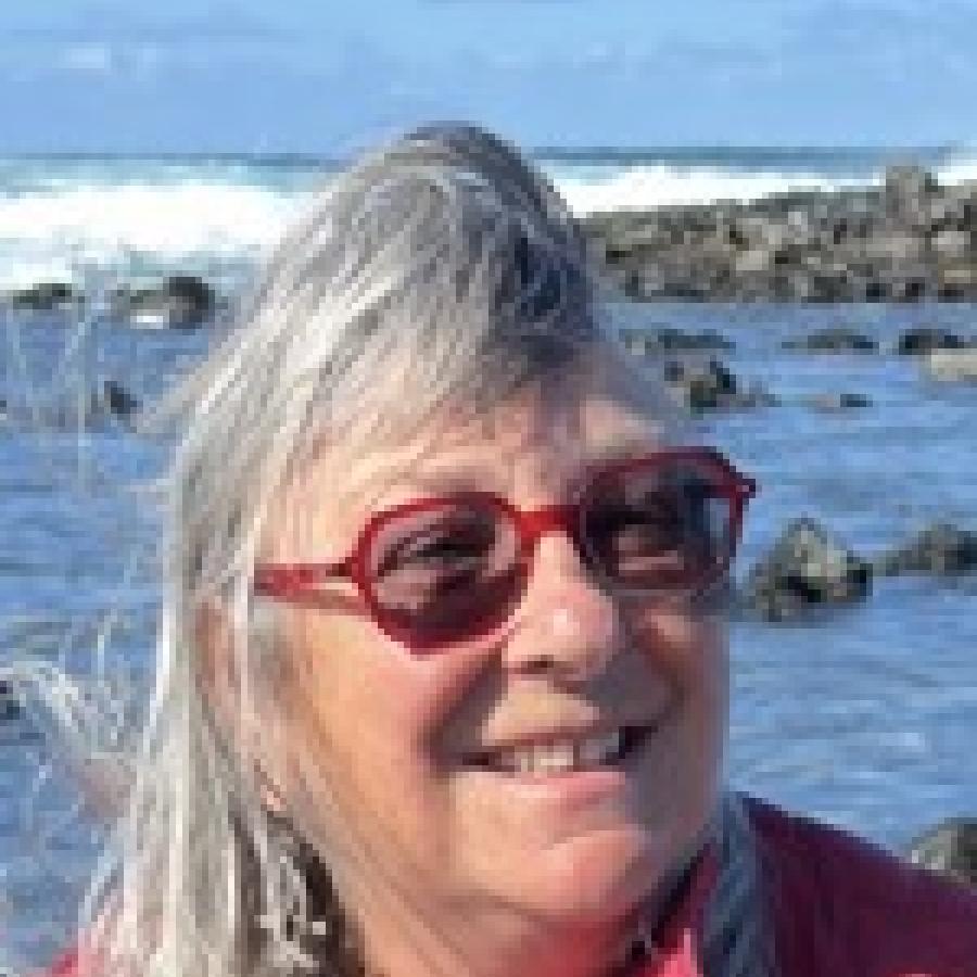 Windswept lady long grey hair sea in background 