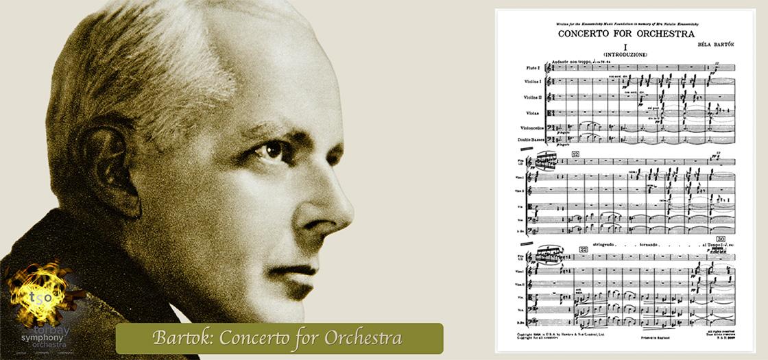 November Concert Image